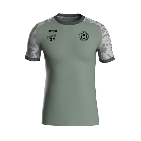 T-SHIRT ICONIC KA GREY SENIOR